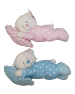 Teddy newborn gift blue pink