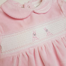 Load image into Gallery viewer, Velour babygrow

